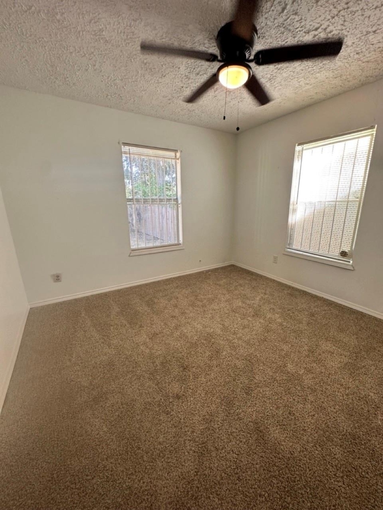 978 Ringold Street - Photo 8