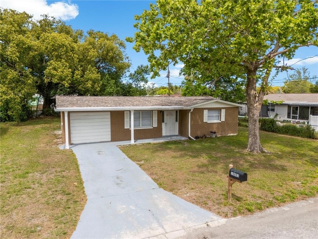 10803 Hyssop Street - Photo 40