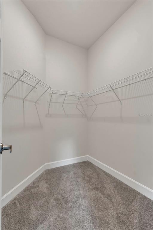4480 Sagefield - Photo 14