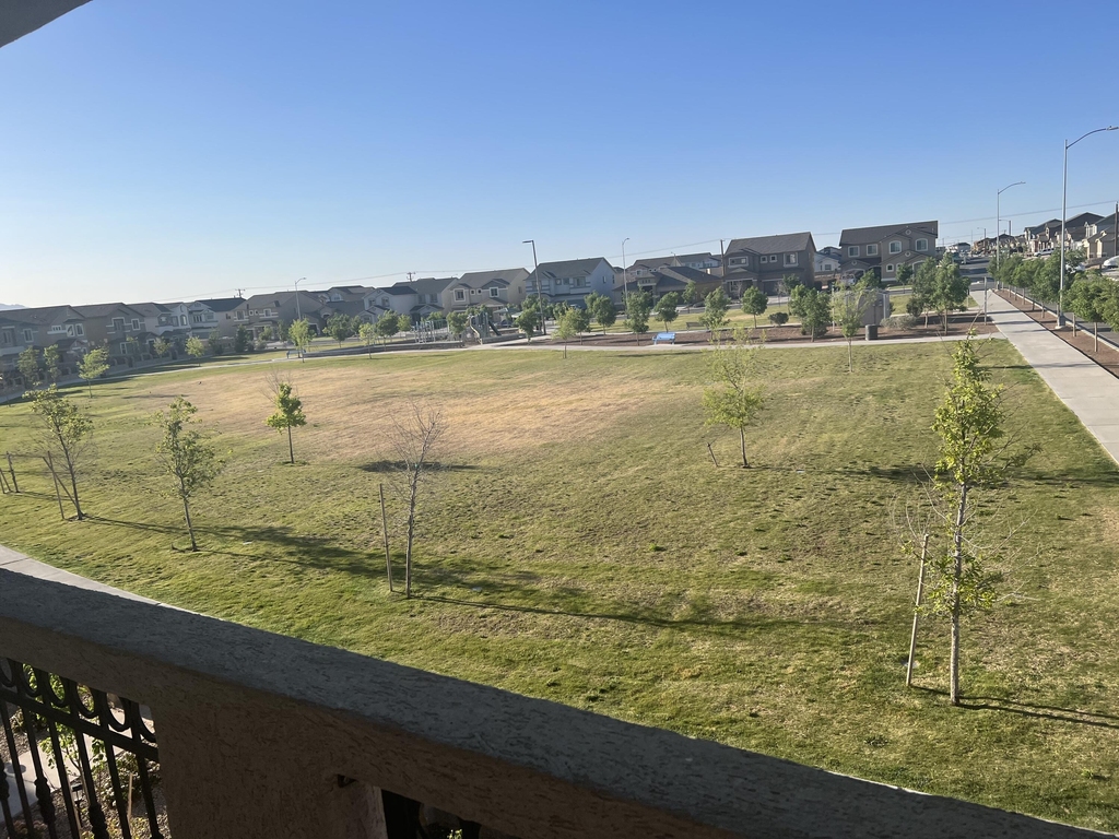4555 Marisabel Azcarate Street - Photo 2