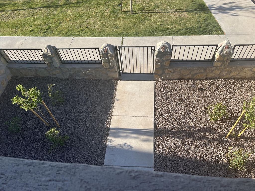4555 Marisabel Azcarate Street - Photo 3