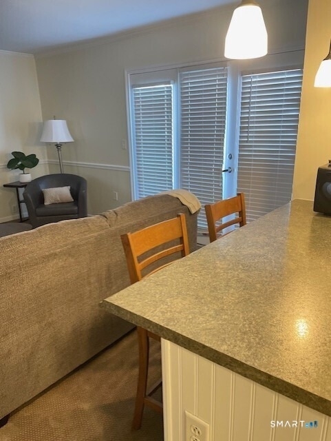 221 Old Pond Lane - Photo 8