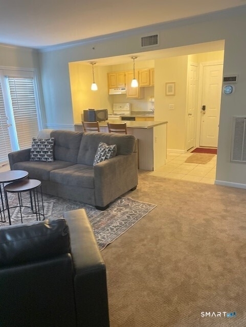 221 Old Pond Lane - Photo 7