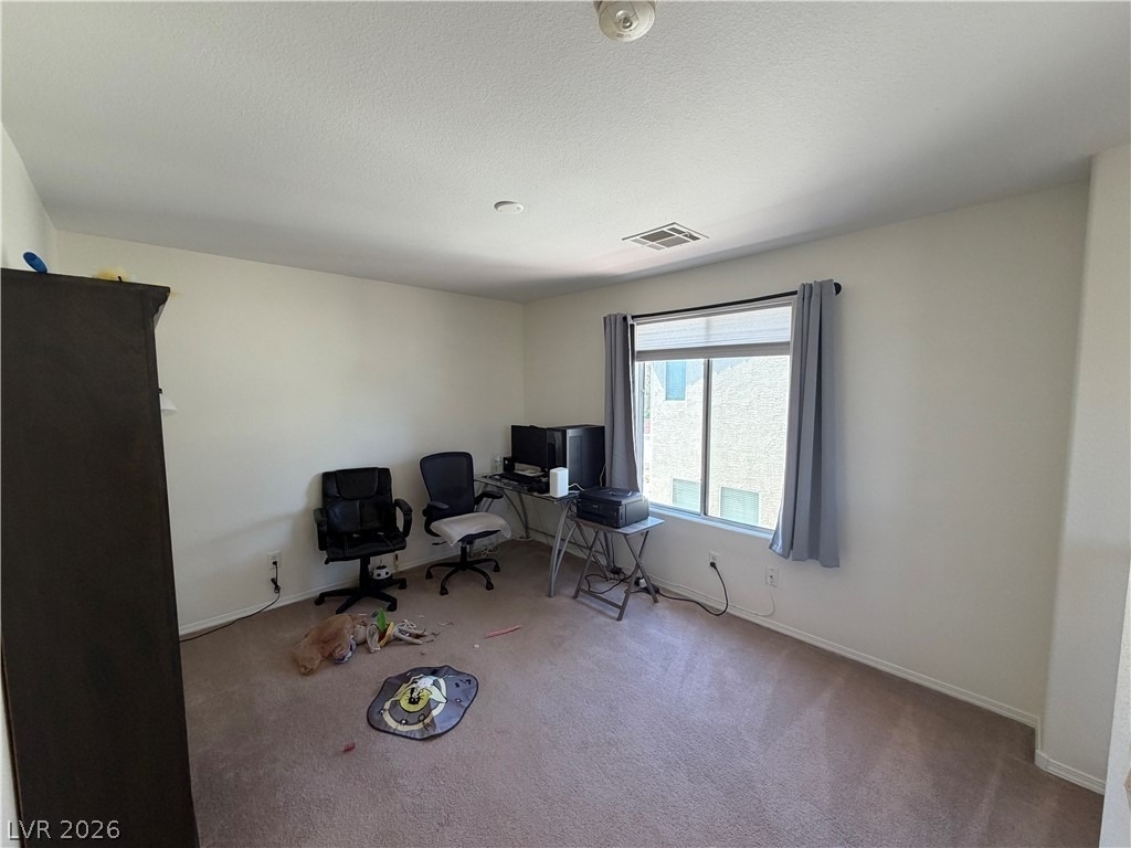 2515 Begonia Valley Avenue - Photo 21