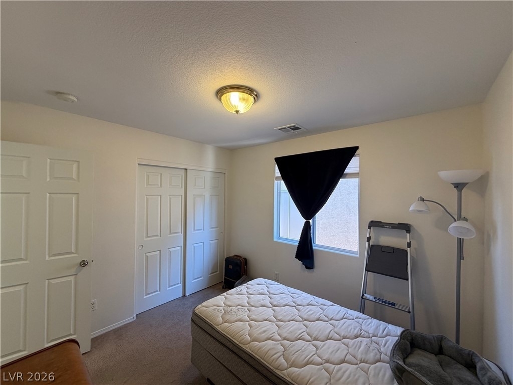 2515 Begonia Valley Avenue - Photo 19
