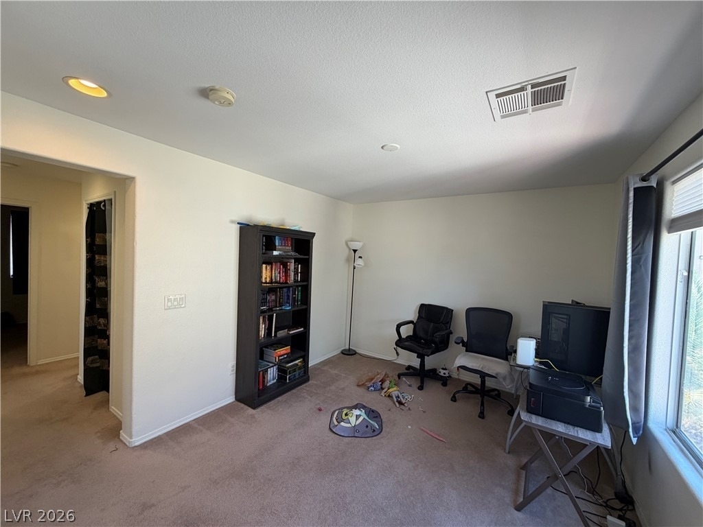 2515 Begonia Valley Avenue - Photo 22