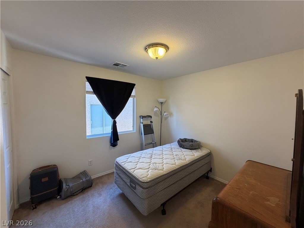 2515 Begonia Valley Avenue - Photo 18