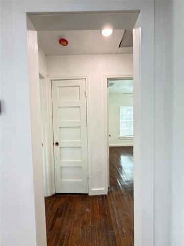 1804 Andrew Avenue - Photo 9