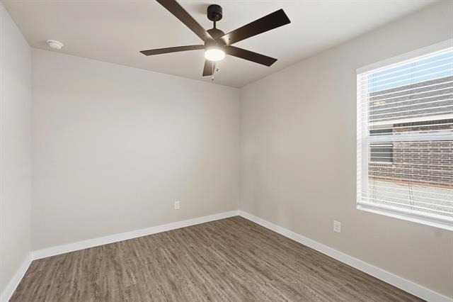 434 Elmont Street - Photo 13