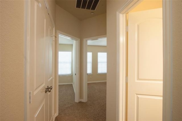 7825 Fox Horn Drive - Photo 15