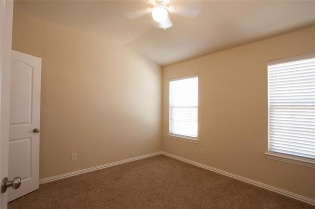 7825 Fox Horn Drive - Photo 16