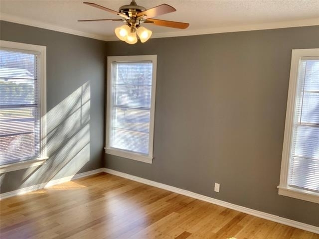 213 Donald Street - Photo 5
