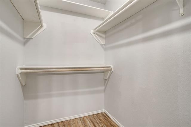 926 Irene Street - Photo 12