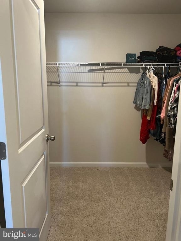 115 Bell Tower Lane - Photo 30