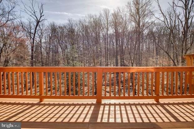 8931 Park Forest Drive - Photo 19