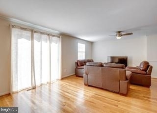 8931 Park Forest Drive - Photo 13