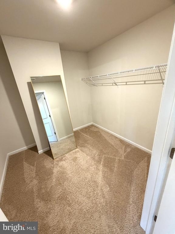 1 Autumn Park Boulevard - Photo 29