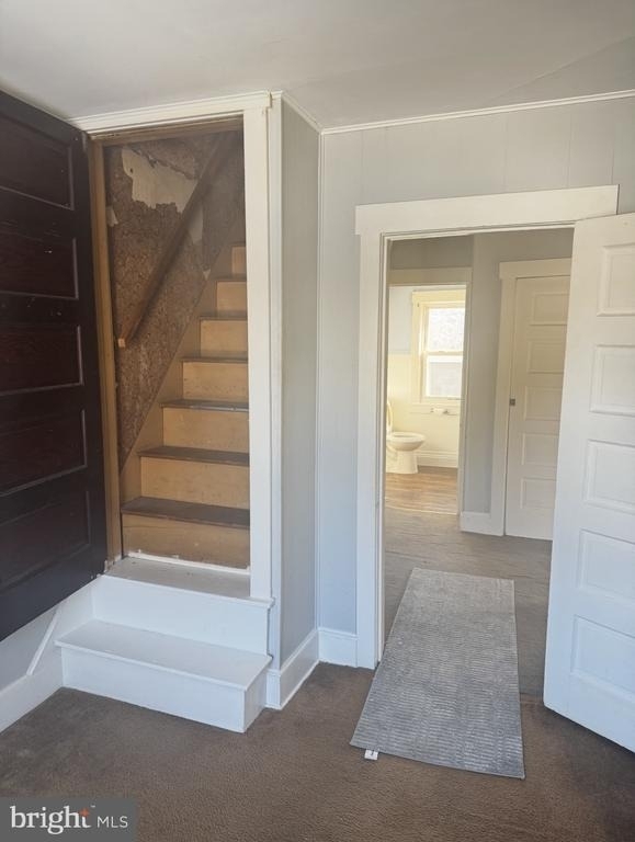 104 Juniper Street - Photo 10