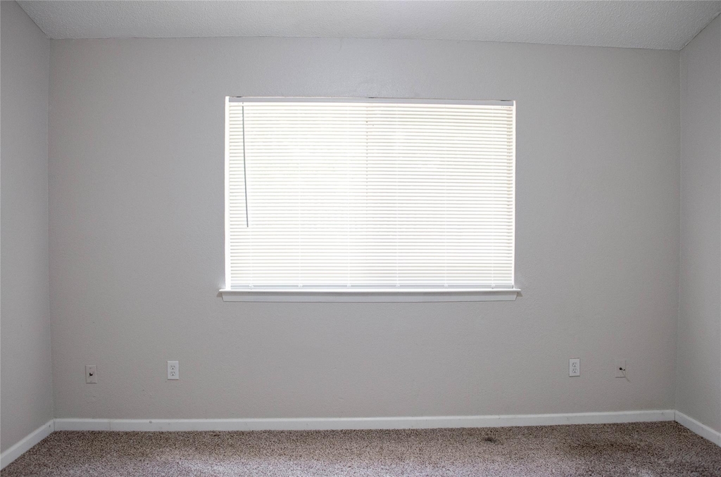2306 Fuzz Fairway - Photo 13