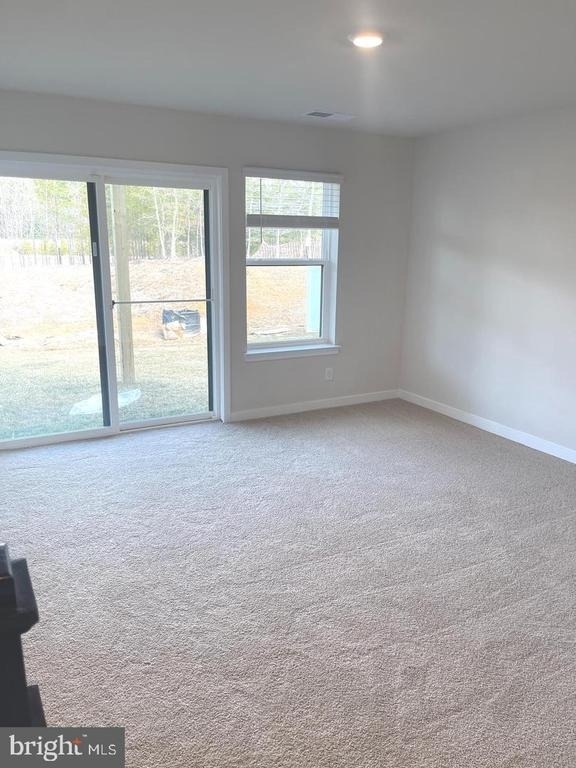 280 Soft Rush Lane - Photo 2