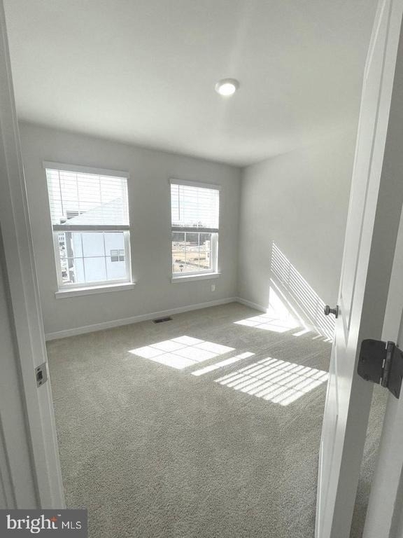 280 Soft Rush Lane - Photo 16