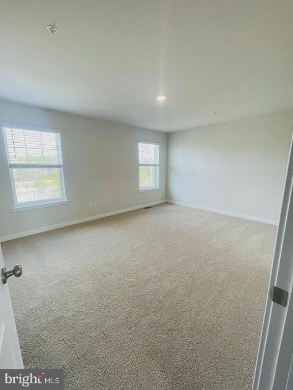 280 Soft Rush Lane - Photo 12