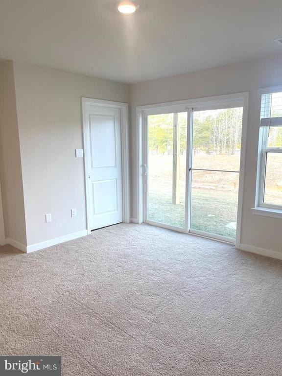 280 Soft Rush Lane - Photo 3