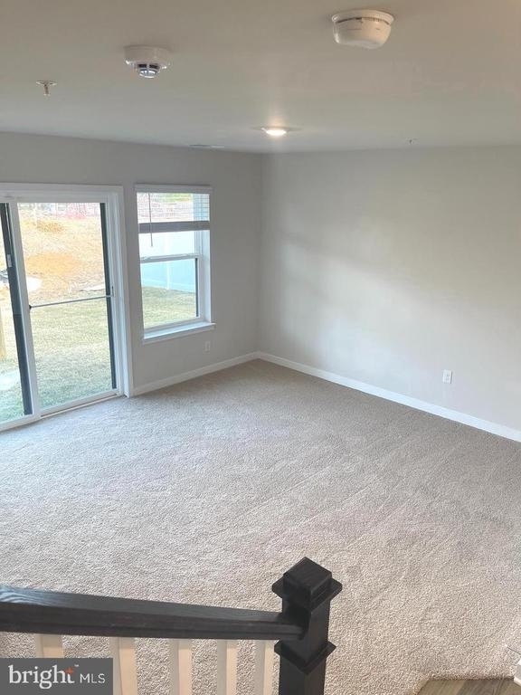 280 Soft Rush Lane - Photo 1