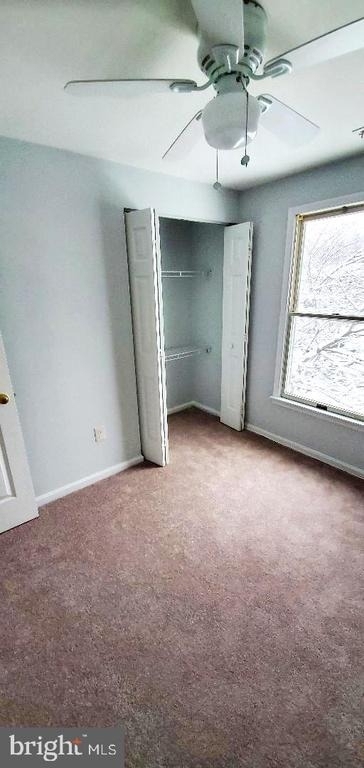 16 Craftsman Court - Photo 14