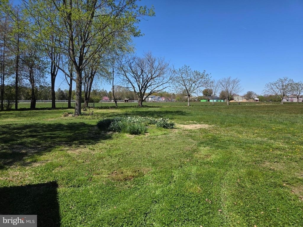 2452 Peachtree Run Road - Photo 3