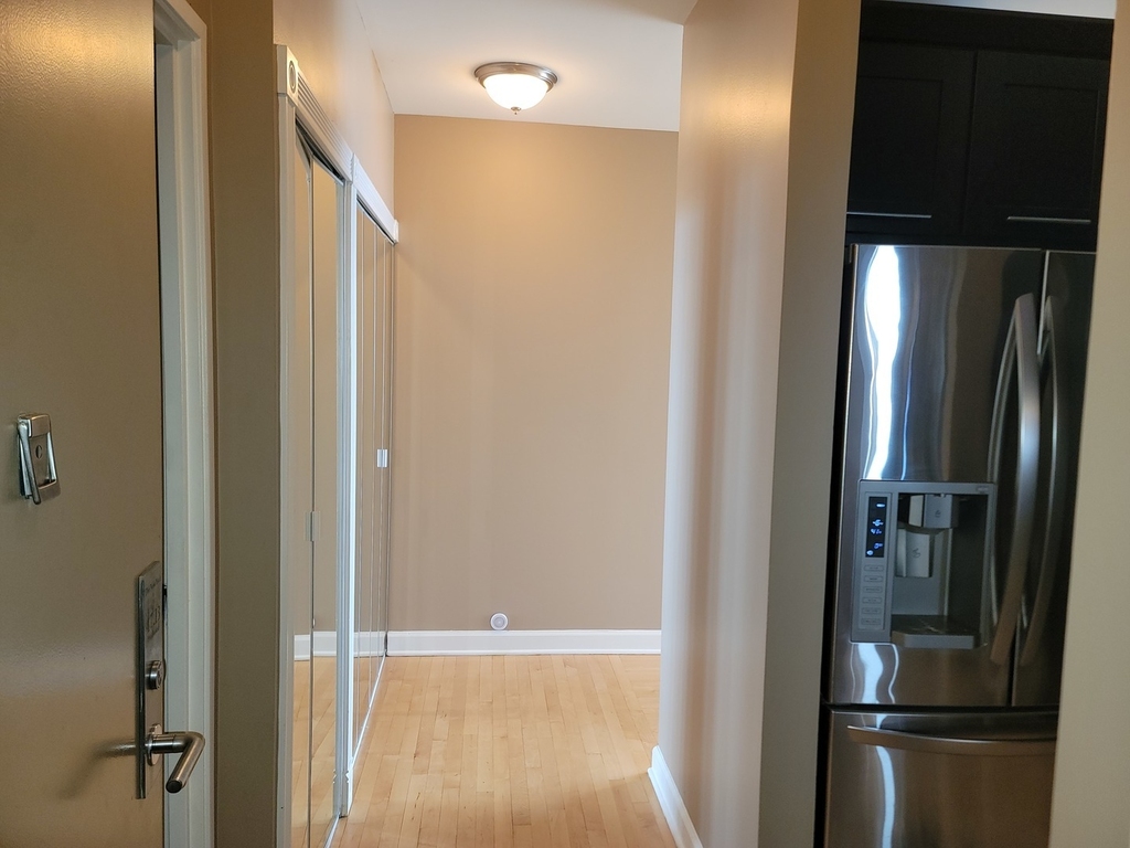 3660 N Lake Shore Drive - Photo 1