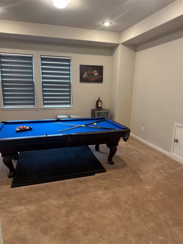1617 Darwin Cedar Drive - Photo 39