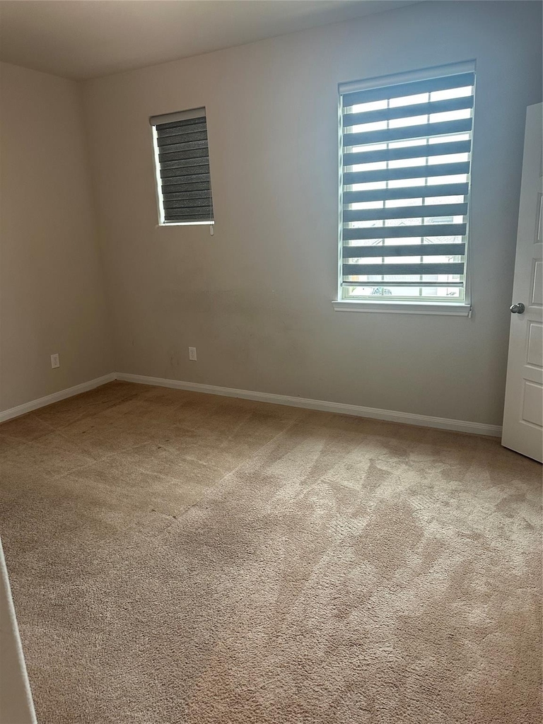 1617 Darwin Cedar Drive - Photo 49