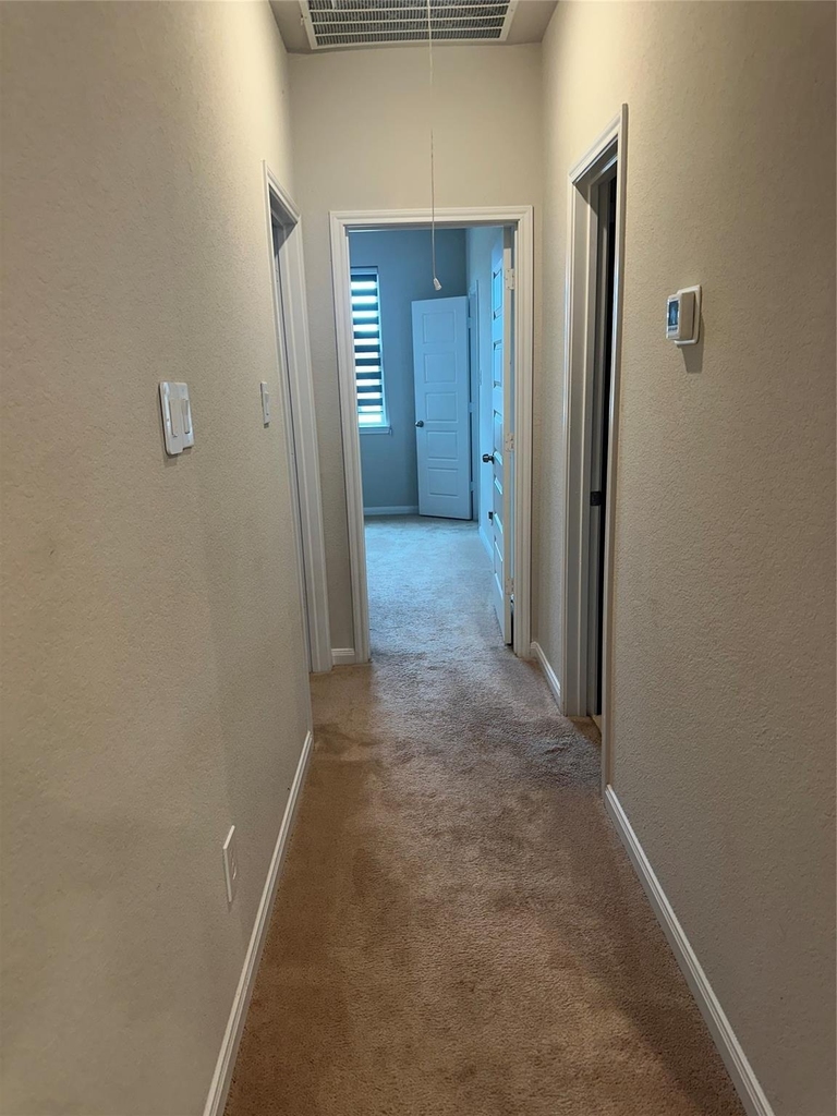 1617 Darwin Cedar Drive - Photo 48