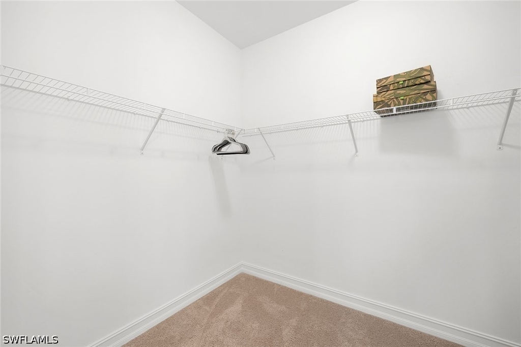 18713 Lake Hammock Drive - Photo 16