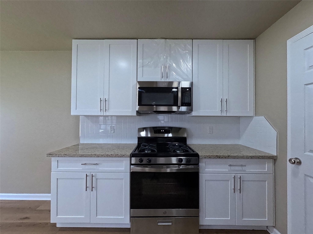 17107 Westminster Village Court - Photo 2