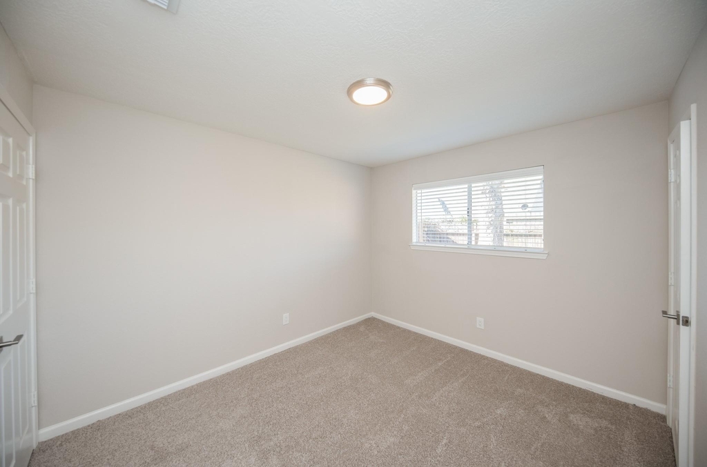 121 Coffee Lane - Photo 17