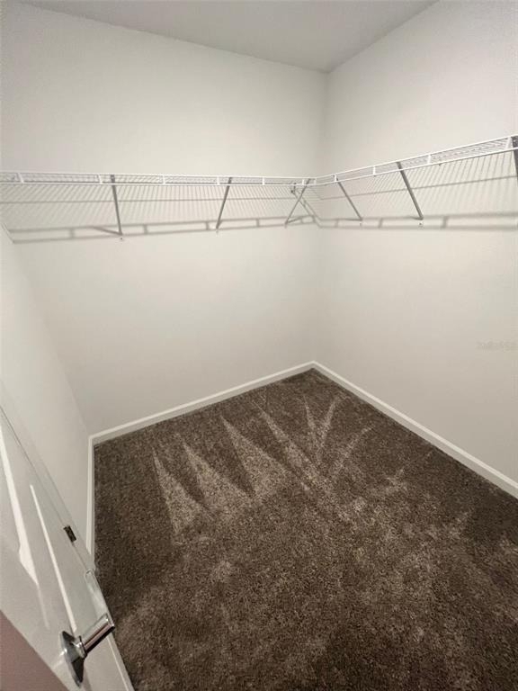 34000 Sky Blossom Circle - Photo 3