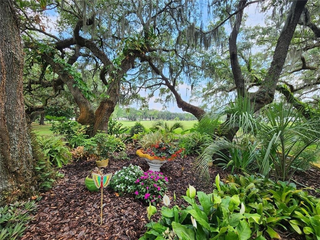 36801 Camelia Court - Photo 44