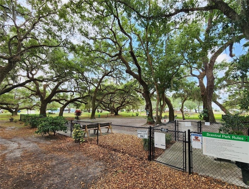 36801 Camelia Court - Photo 46