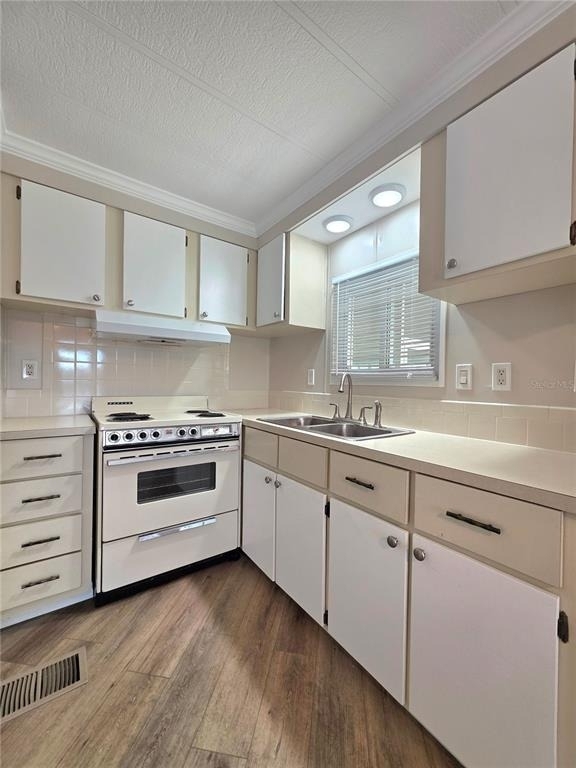 36801 Camelia Court - Photo 14