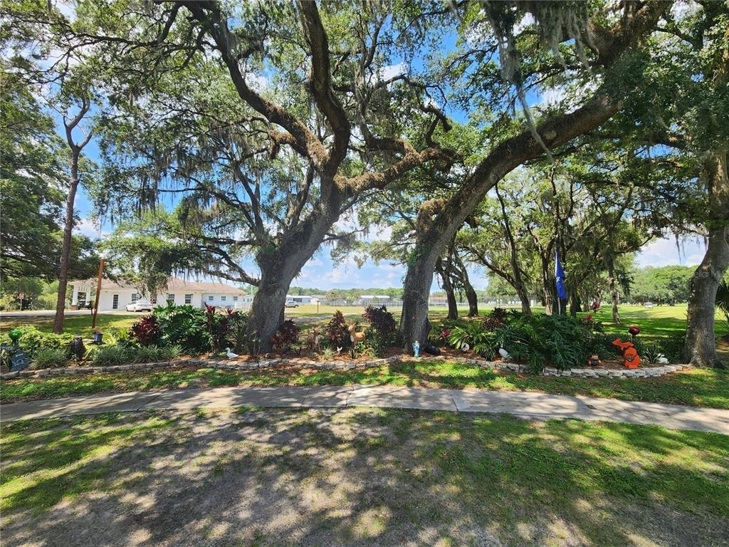 36801 Camelia Court - Photo 59