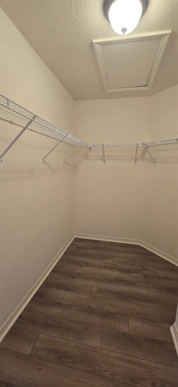 2577 Lindewood Street - Photo 9