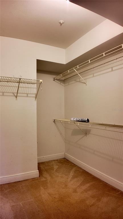 486 N Pin Oak Place - Photo 17