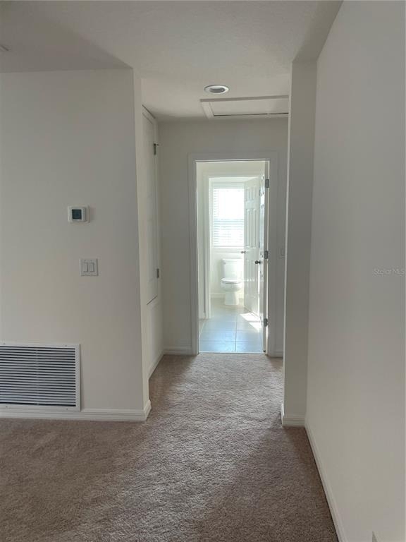 1120 Myrtle Hammock Lane - Photo 31