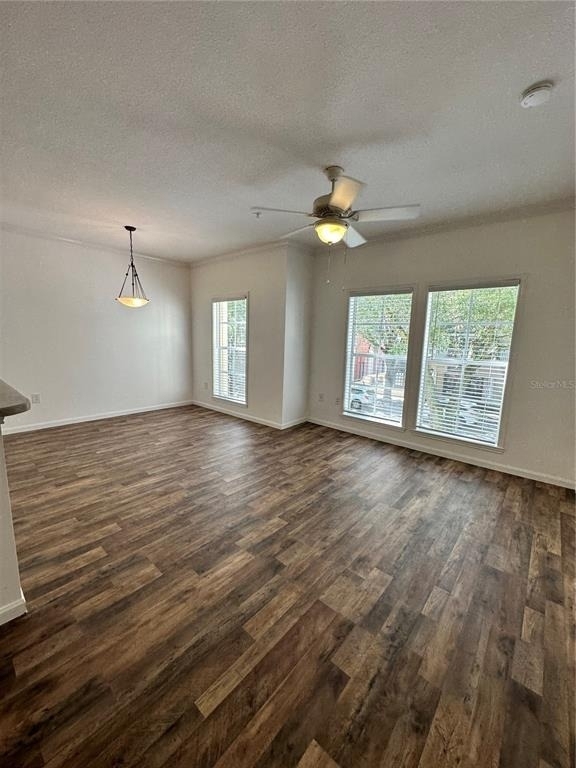 729 Celebration Avenue - Photo 3