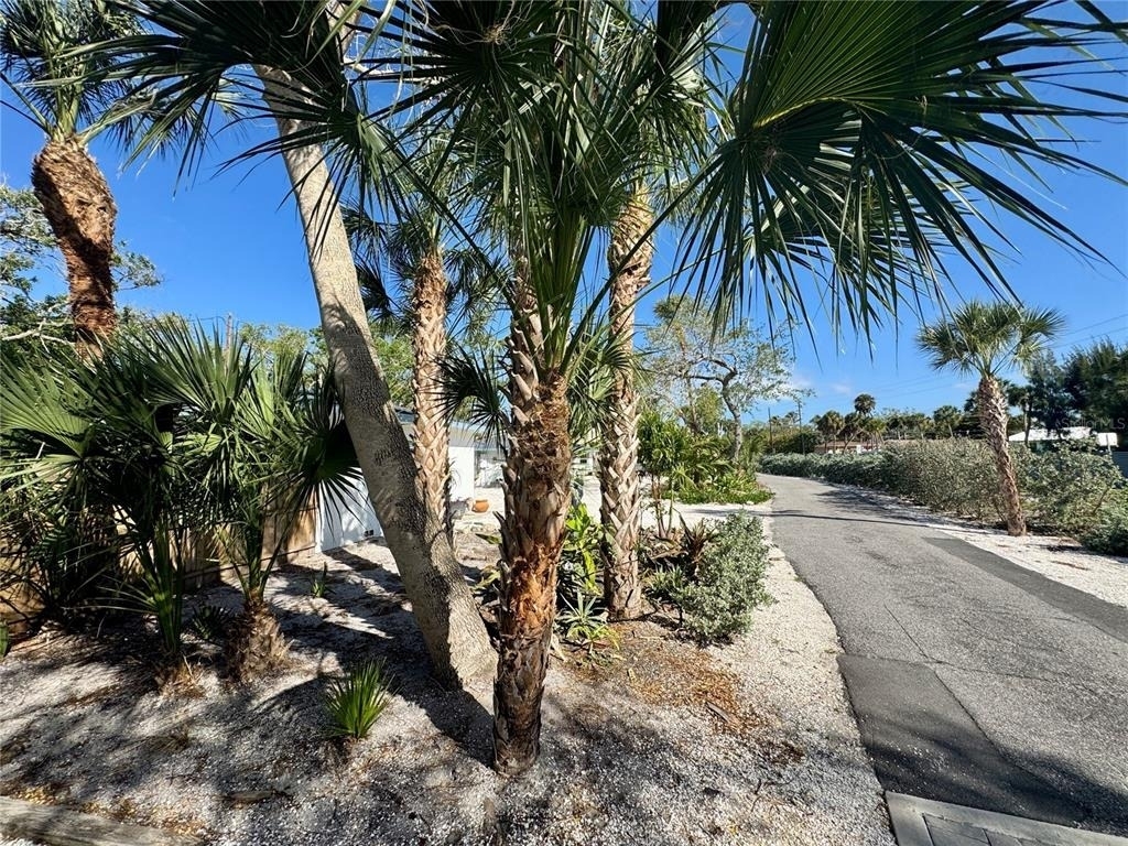 7372 Melaleuca Way - Photo 33