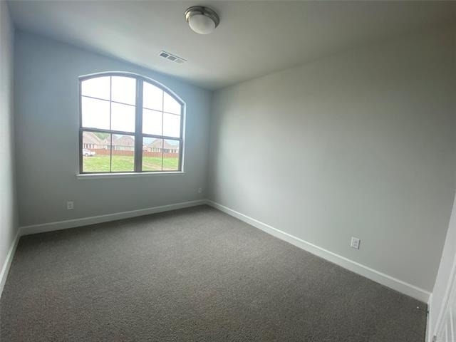 1702 Swayback Lane - Photo 19