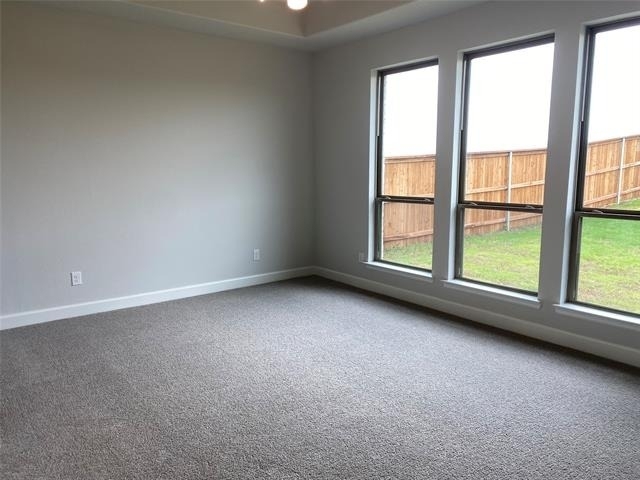 1702 Swayback Lane - Photo 12