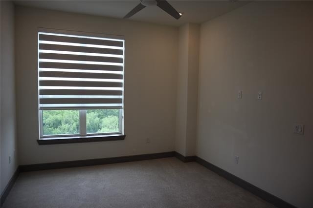 2700 Old Denton Road - Photo 12